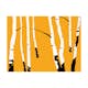 Fototapet Arkiio Birches On The Orange Background