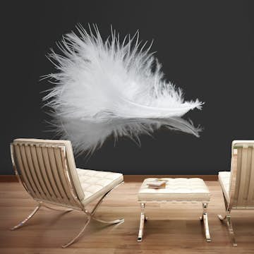 Fototapet Arkiio White Feather