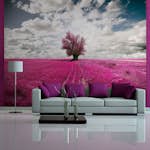 Fototapet Arkiio Magenta Äng