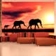 Fototapet Arkiio Elephants: Family