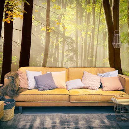 Fototapet Arkiio Mysterious Forest Path