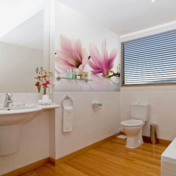 Fototapet Arkiio Magnolia Blomma