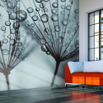 Fototapet Arkiio Turkos Maskros