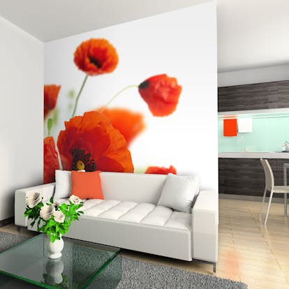 Fototapet Arkiio Poppies On The Wihite Background