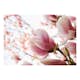 Fototapet Arkiio Rosa Magnolia
