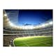 Fototapet Arkiio National Stadium