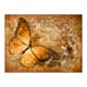 Fototapet Arkiio Butterfly Sepia