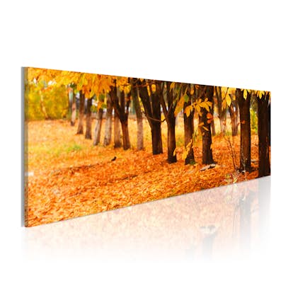 Tavla Arkiio Park Covered With Golden Leaves