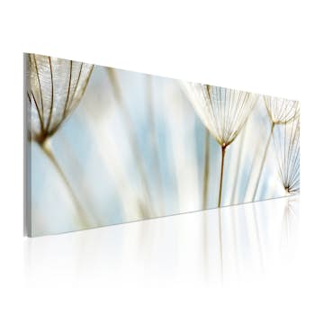 Tavla Arkiio Ephemeral Moments