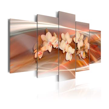 Tavla Arkiio An Orchid In Grey Shades