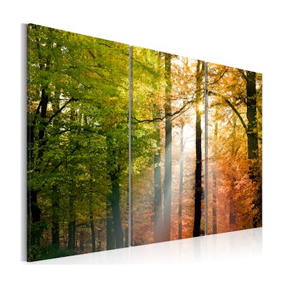 Tavla Arkiio A Calm Autumn Forest