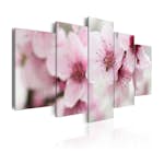 Tavla Arkiio Cherry Gentleness And Beauty