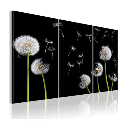 Tavla Arkiio Dandelions Family