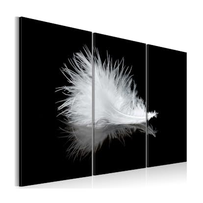 Tavla Arkiio A Small Feather