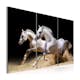 Tavla Arkiio Horses Power And Velocity