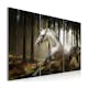 Tavla Arkiio A White Horse In The Midst Of The Trees