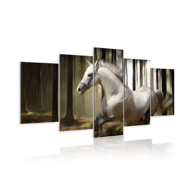 Tavla Arkiio Horse Running