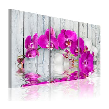 Tavla Arkiio Harmony Orchid Triptych