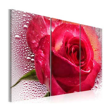 Tavla Arkiio Lady Rose Triptych