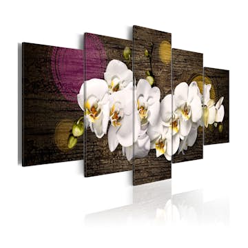 Tavla Arkiio Som Ett Vit Moln 5 st