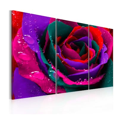 Tavla Arkiio Rainbow Färgade Rose