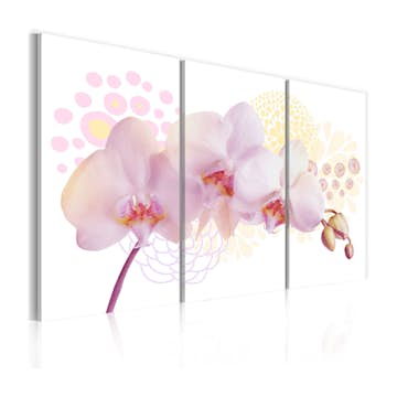 Tavla Arkiio White Lady