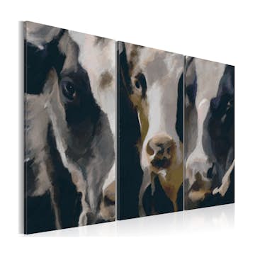 Tavla Arkiio Piebald Cow