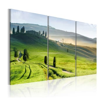 Tavla Arkiio Time Of Harvest