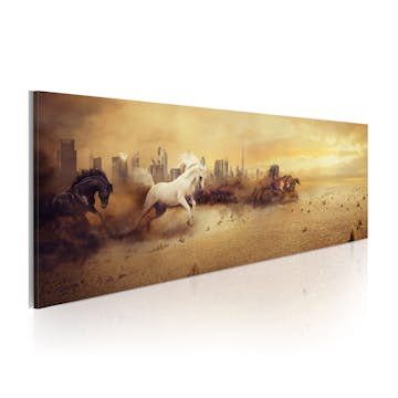 Tavla Arkiio City Of Stallions