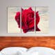 Tavla Arkiio Lyrical Rose