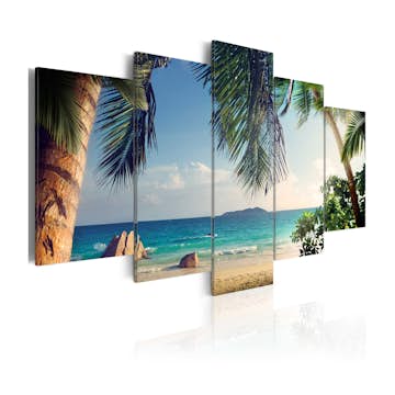 Tavla Arkiio Under Palm Trees