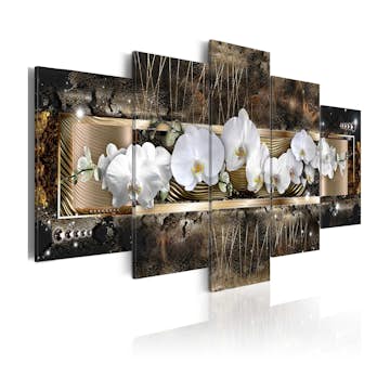 Tavla Arkiio The Dream Of A Orchids