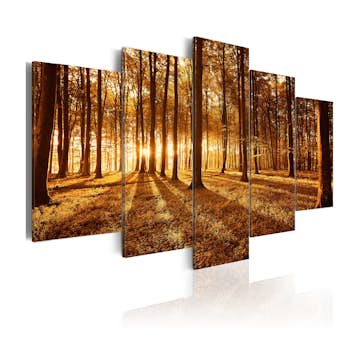 Tavla Arkiio Amber Forest