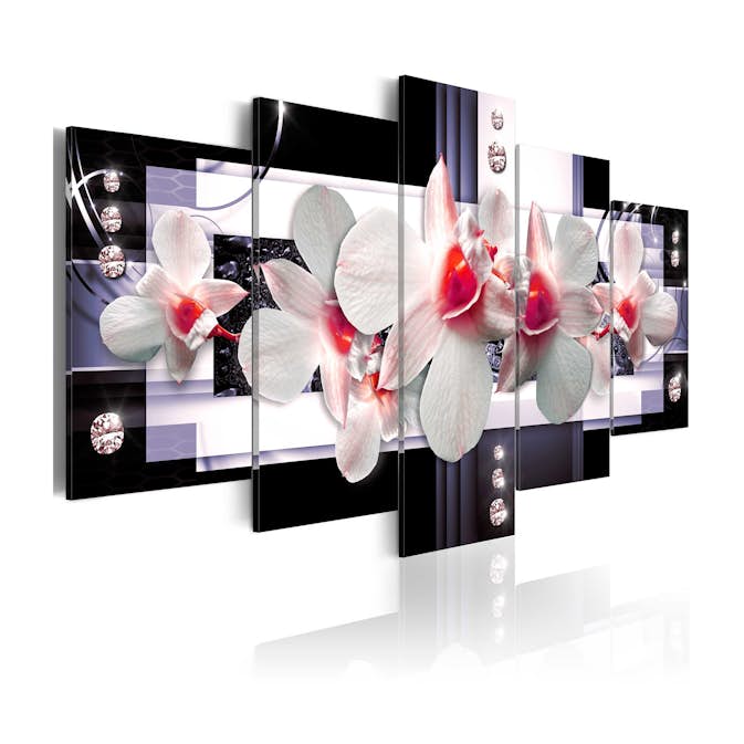 Tavla Arkiio Raspberry Accent