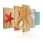 Tavla Arkiio Sea Treasure