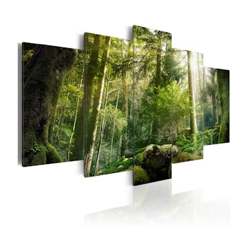 Tavla Arkiio The Beauty Of The Forest