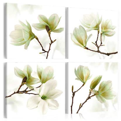 Tavla Arkiio Admiration Of Magnolia