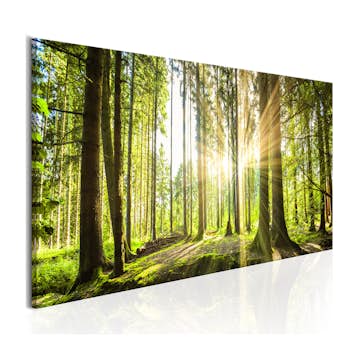 Tavla Arkiio Daylight