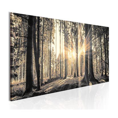 Tavla Arkiio Forest Sun