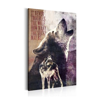 Tavla Arkiio Law Of Nature