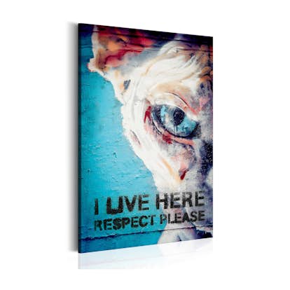 Tavla Arkiio I Live Here Respect Please