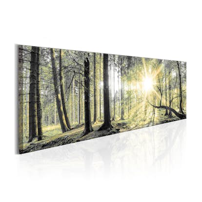 Tavla Arkiio Morning Forest