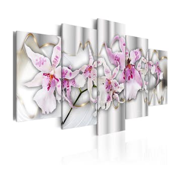 Tavla Arkiio Academy Of Charm