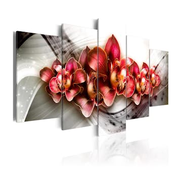 Tavla Arkiio Empire Of The Orchid