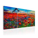 Tavla Arkiio Valley Of Poppies