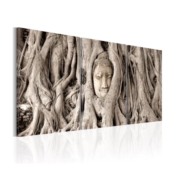 Tavla Arkiio Meditation's Tree