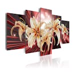 Tavla Arkiio The Magic Of Passion