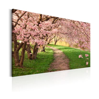 Tavla Arkiio Lovers Path