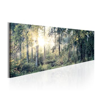 Tavla Arkiio Morning Magic