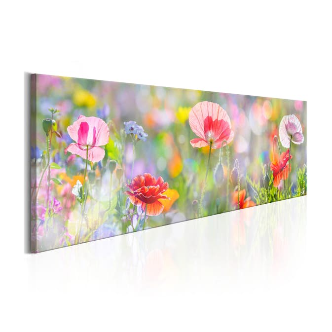 Tavla Arkiio Rainbow Of Morning Poppies